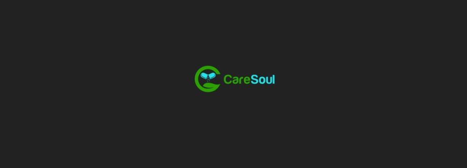 Care Soul Cover Image