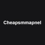 CHEAPSMM PANEL Profile Picture