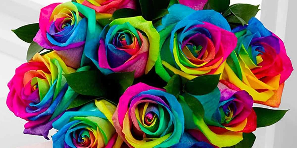 Rainbow Rose Delivery