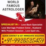 Astrologer Vinod Shastri Profile Picture