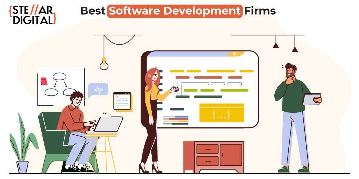 Which companies offer the best software development services?