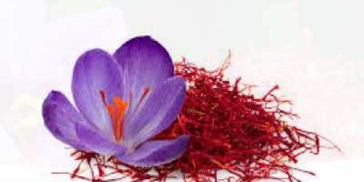 Saffron Market | Top Scenario, SWOT Analysis, Business Overview and Forecast 2029
