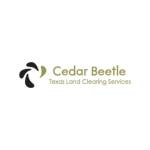 Cedar Beetle Profile Picture