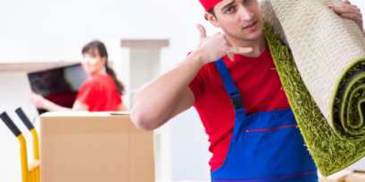 Why should you deal with professional packers and movers?
