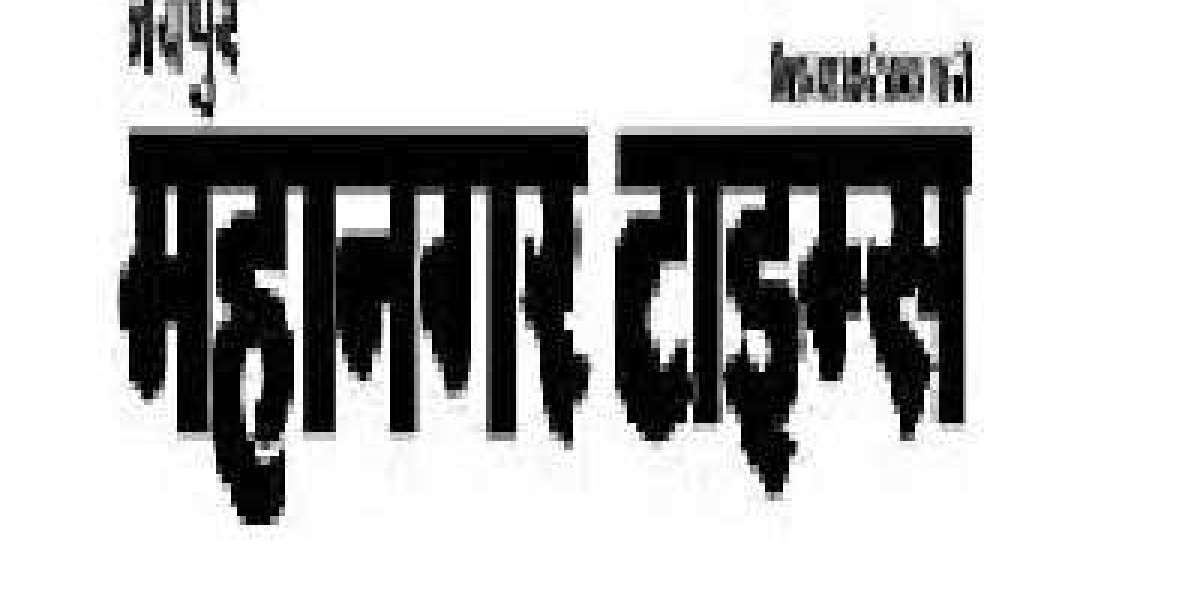daily hindi news