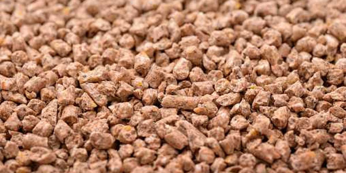 Compound Feed Market by Top Competitor, Regional Shares, and Forecast 2030