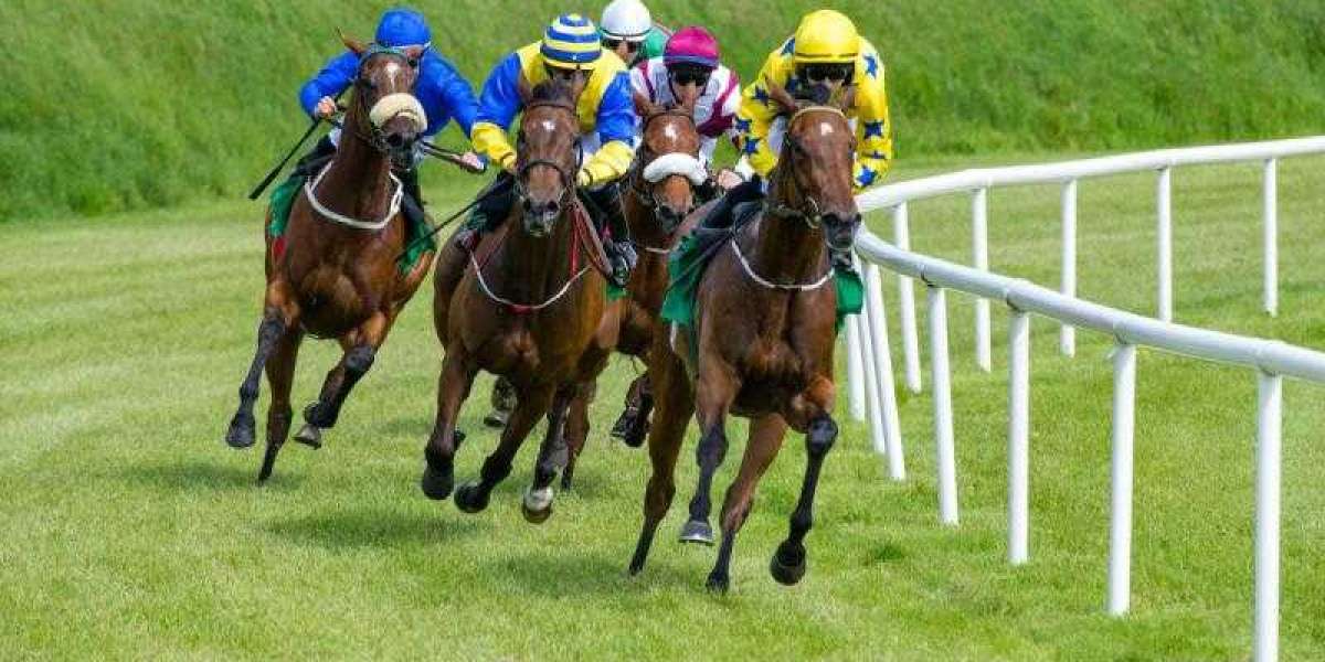 Horse Racing Industry Size, Share, Analysis And Research Report