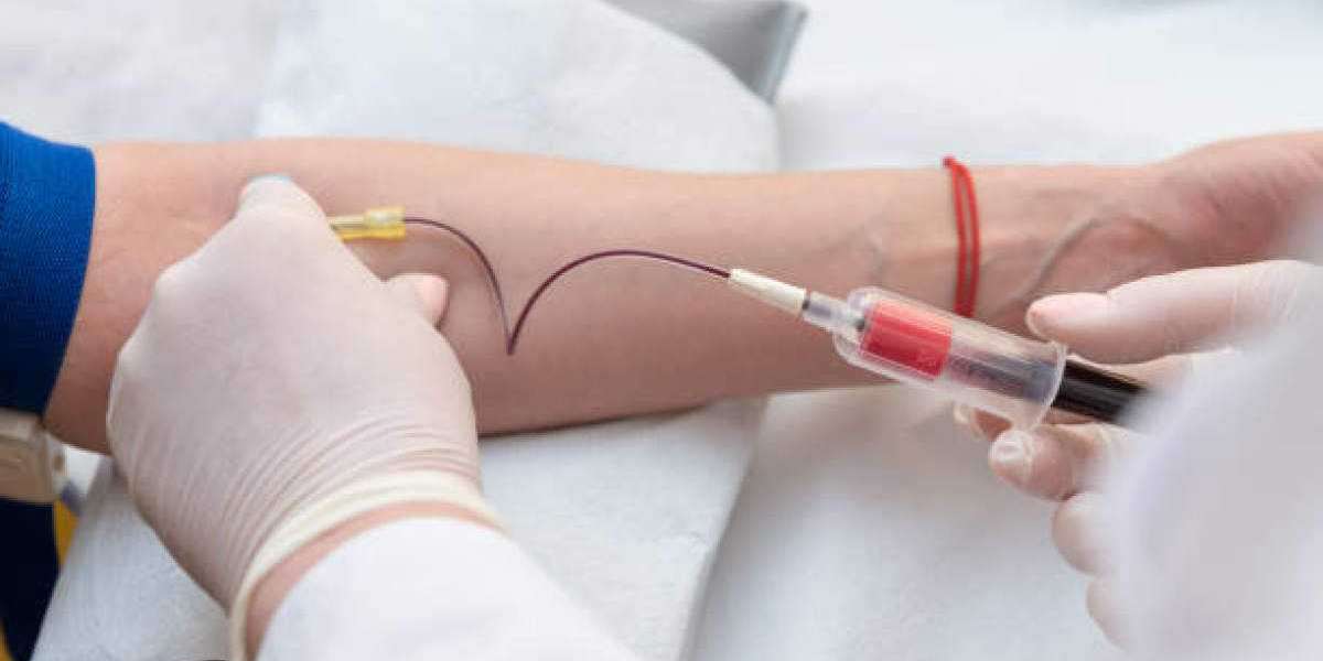 Blood Collection Market: A Complete Guide for Investors and Researchers