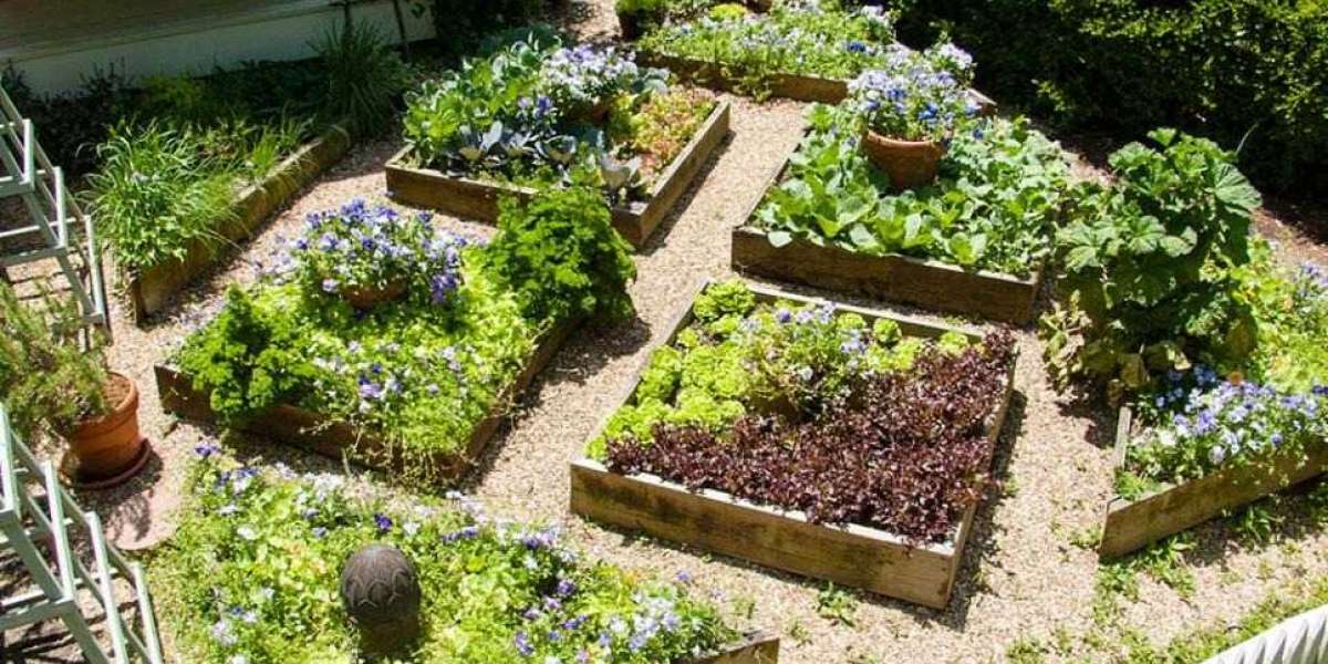 Edible Landscaping: Growing Food in Your Garden Landscape
