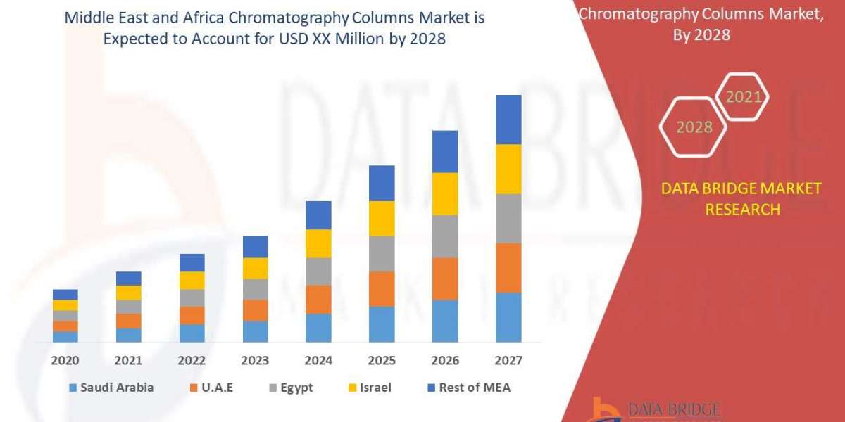 Recent innovation & upcoming trends Middle East and Africa Chromatography Columns Market to 2028