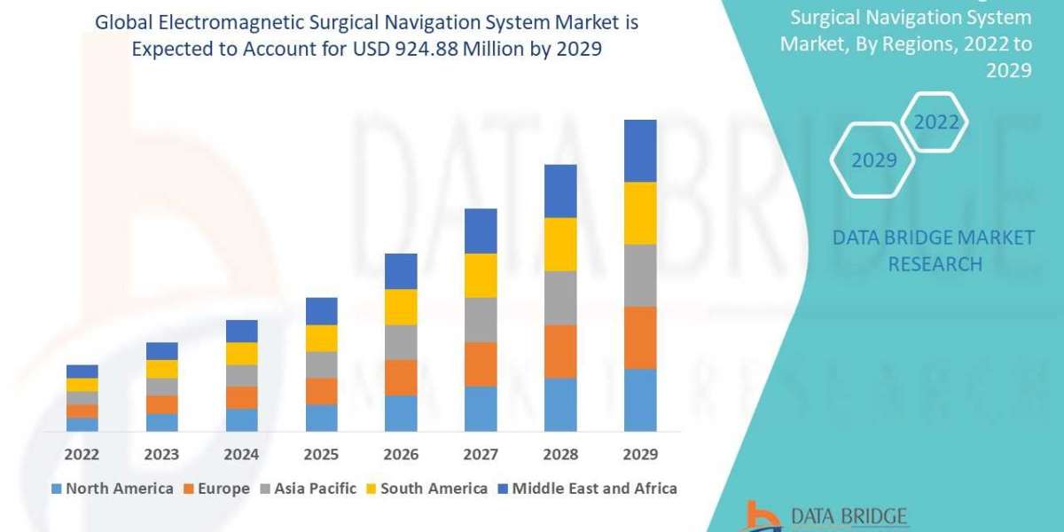 Industry Trends and opportunities in Electromagnetic Surgical Navigation System Market