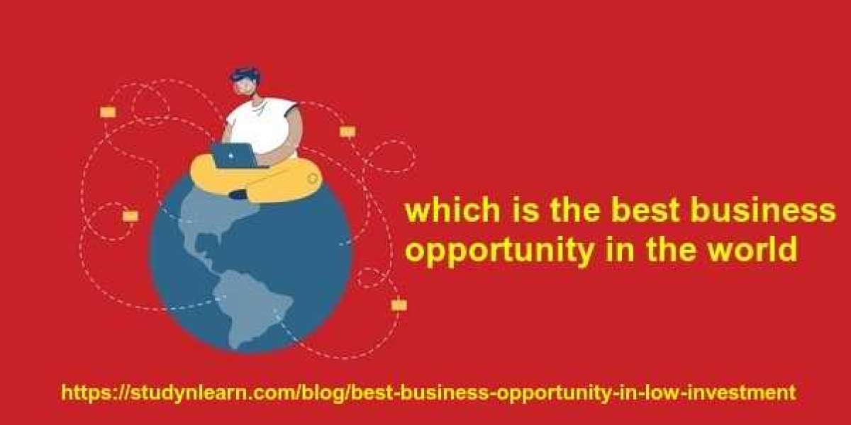 which is the best business opportunity in the world