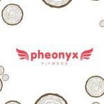pheonyxply wood Profile Picture