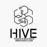 hive ply Profile Picture