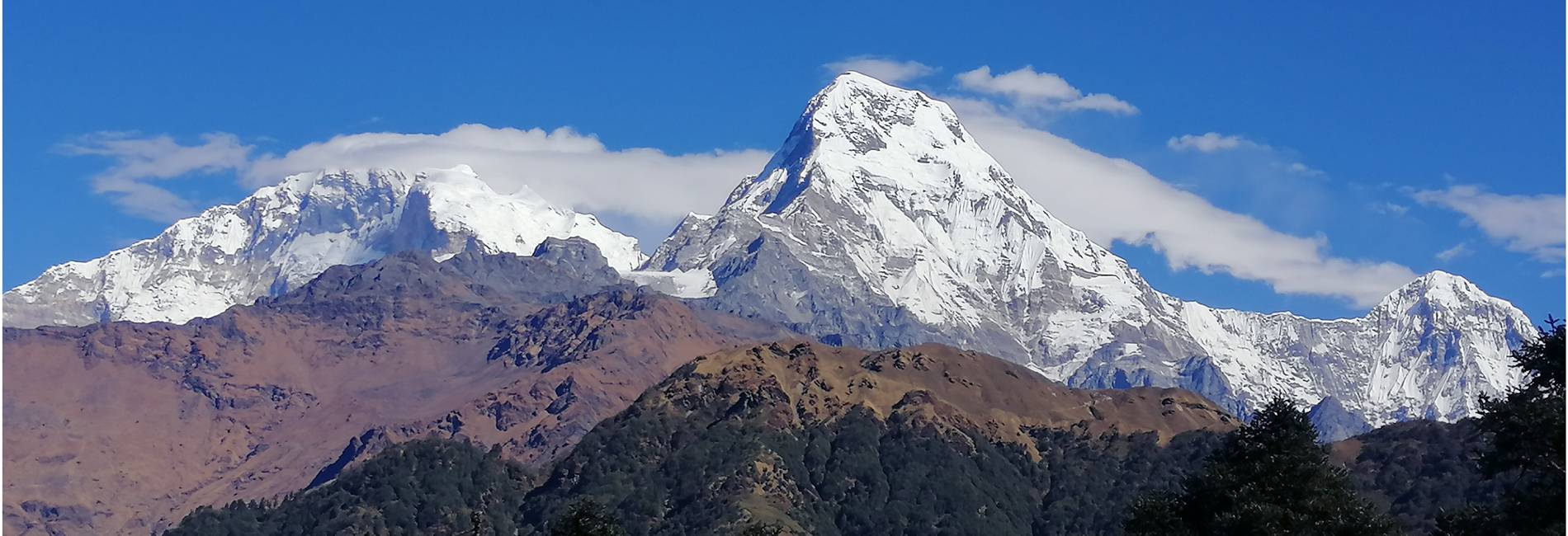 Ghorepani Poon Hill Trek: Short And Easy Trek In Nepal