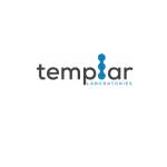Templar skin Systems Profile Picture
