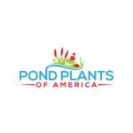 Pond Plants of America Profile Picture