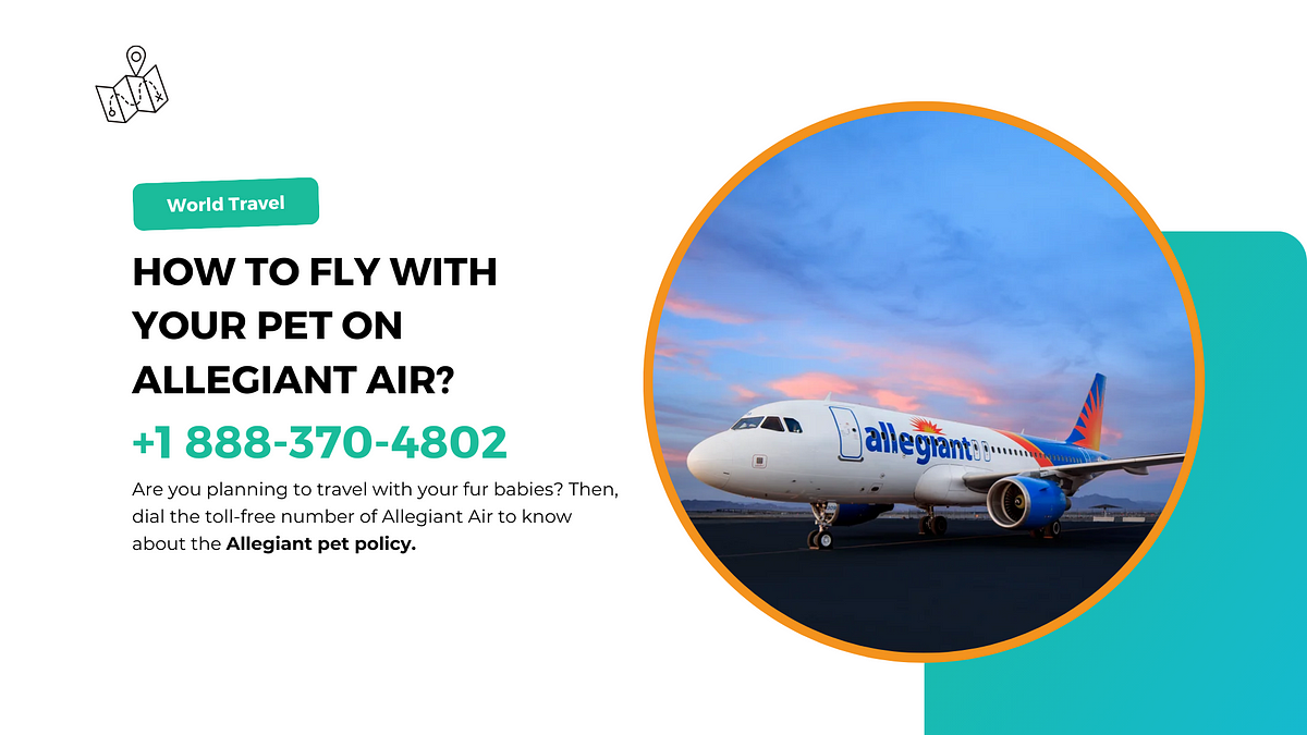 How to Fly with Your Pet on Allegiant Air? | +1 888–370–4802 | by olivia orlando | Oct, 2023 | Medium