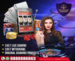 Best betting id provider online | Online betting id provider in India