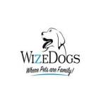 WizeDogs Labradors and Positive Dog Training Academy Profile Picture