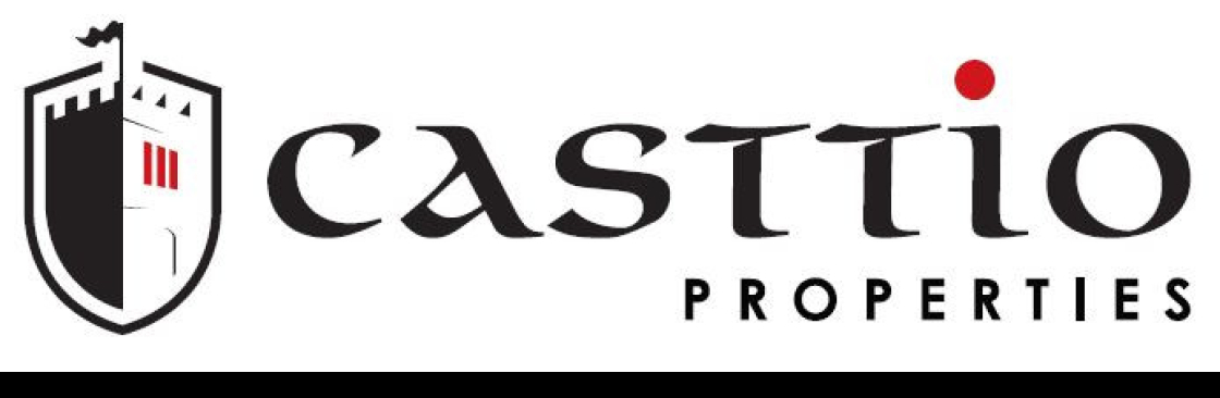 casttio company Cover Image