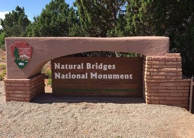 The Importance of Monument Signs in Business