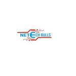 Netech Bulls Profile Picture
