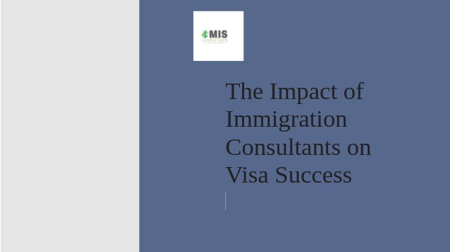 The Impact of Immigration Consultants on Visa Success