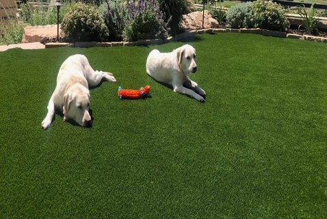 Commercial Artificial Turf in Southern California
