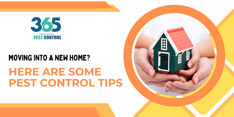 Moving Into a New Home? Here are Some Pest Control Tips