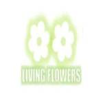 Living Flowers flowers Profile Picture