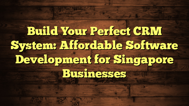 Affordable Software Development for Singapore Businesses