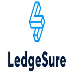 LedgeSure IT Consulting| Ledgesure.com