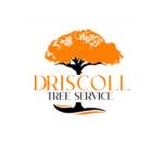 Driscoll Tree Service Profile Picture